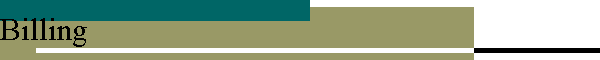 billing.htm_cmp_bars010_bnr.gif (994 bytes)