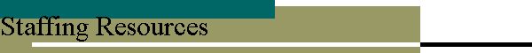 serv03.htm_cmp_bars010_bnr.gif (1289 bytes)